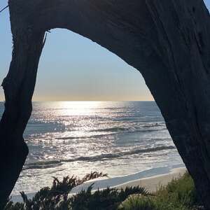 Meet your Posher, Tatum